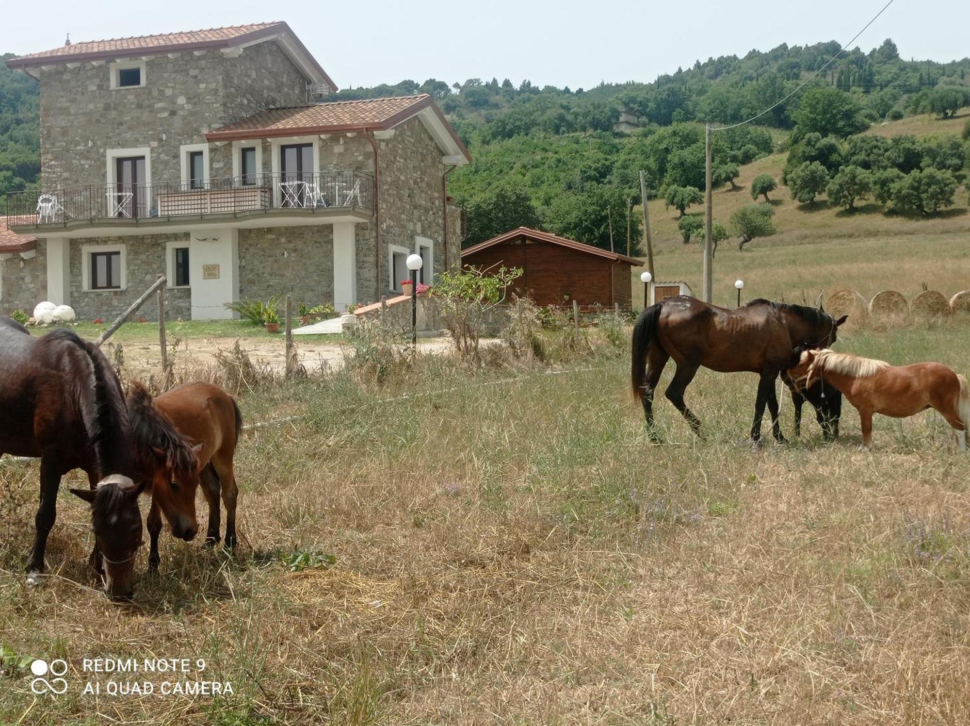 Lux Vera B & B Agropoli Eksteriør billede